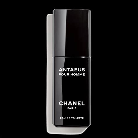 chanel antaeus eau de toilette spray 100ml|chanel antaeus 100ml.